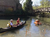 Duck House launch 8 April.jpg